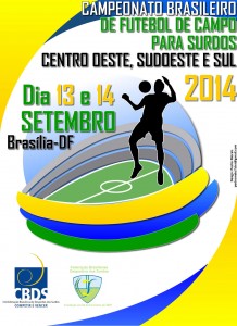 CampBrasileiroFutebolCampo2014