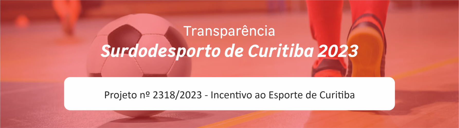 Transparência LIE municipal 2023 - provisorio2