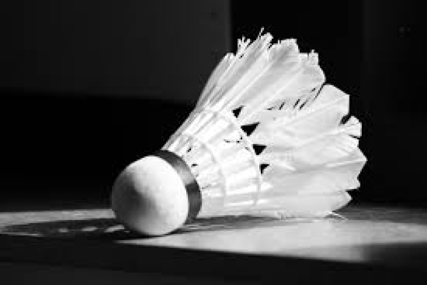 BadmintonFoto