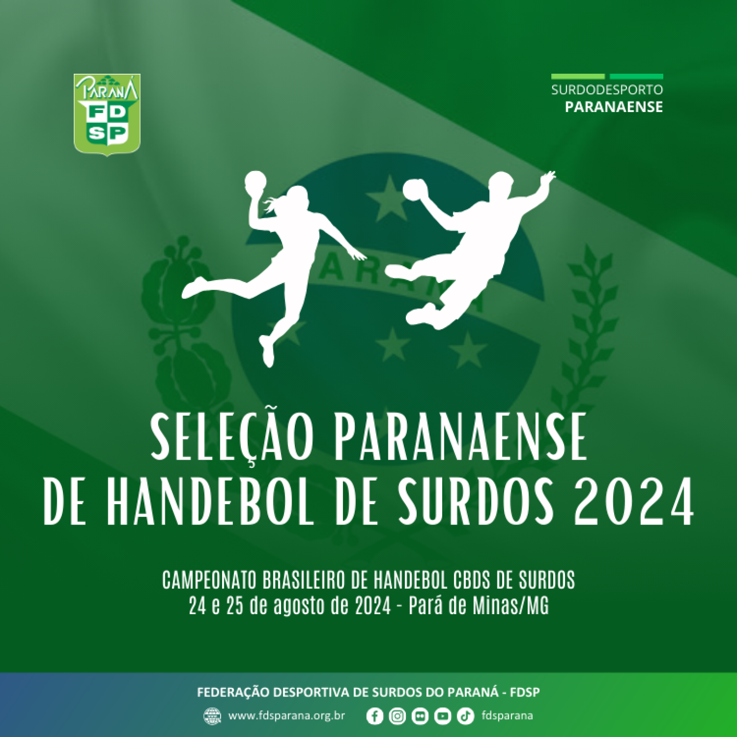 Cartaz Handebol FDSP 2024 (1)